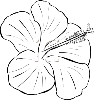 Flower Clipart