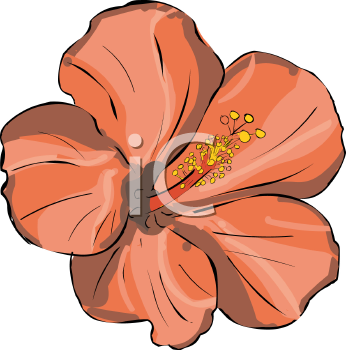 Flower Clipart