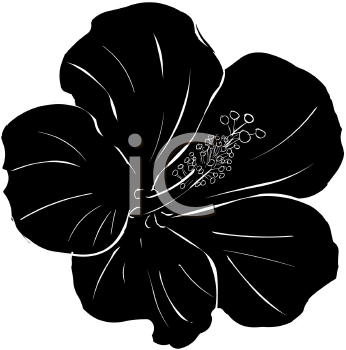 Flower Clipart