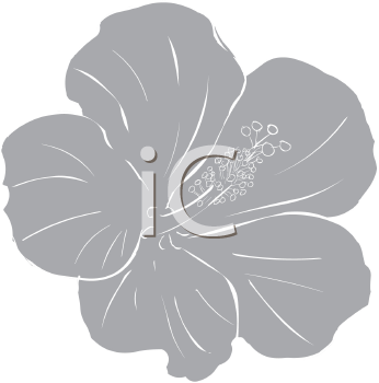 Flower Clipart