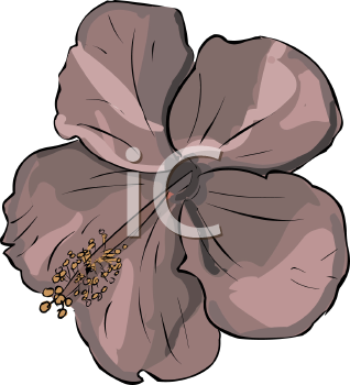 Flower Clipart