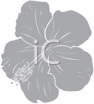 Flower Clipart