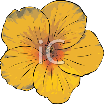 Flower Clipart