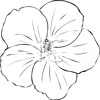 Flower Clipart