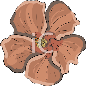 Flower Clipart