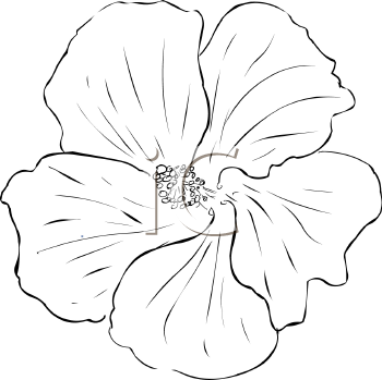 Flower Clipart