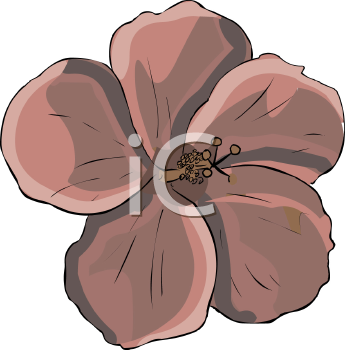 Flower Clipart