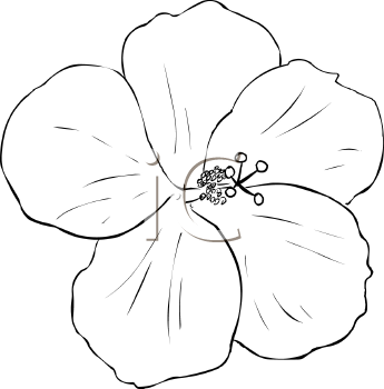 Flower Clipart