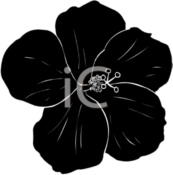 Flower Clipart