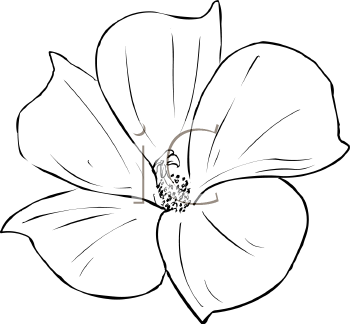 Flower Clipart