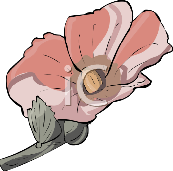 Flower Clipart