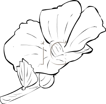 Flower Clipart