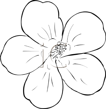 Flower Clipart