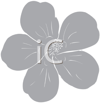 Flower Clipart