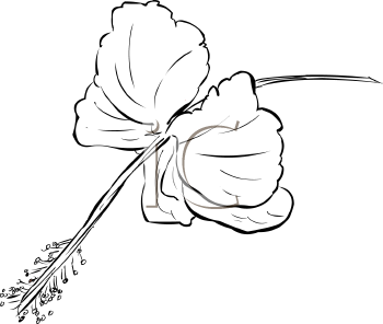 Flower Clipart