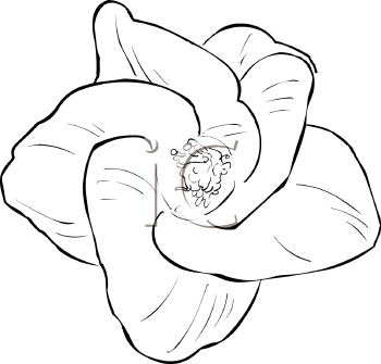 Flower Clipart