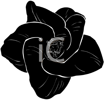 Flower Clipart