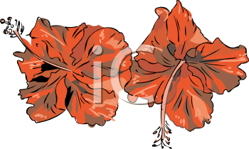 Flower Clipart