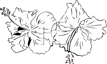 Flower Clipart