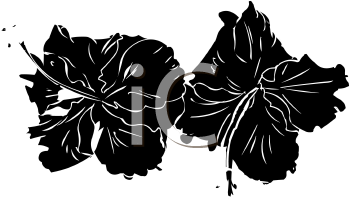 Flower Clipart