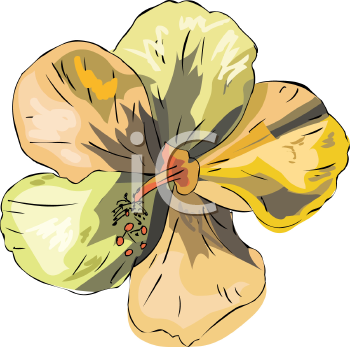 Flower Clipart