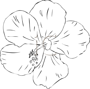 Flower Clipart