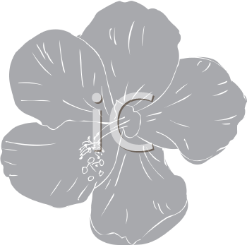 Flower Clipart