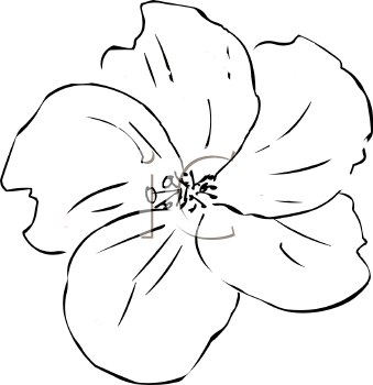 Flower Clipart