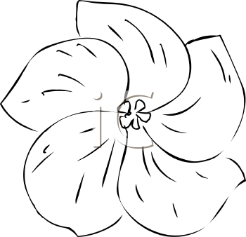 Flower Clipart