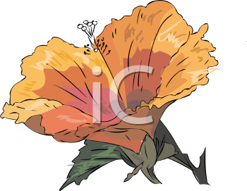 Flower Clipart