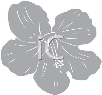 Flower Clipart