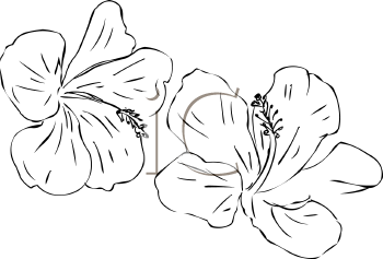 Flower Clipart