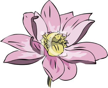 Royalty Free Lotus Clip art, Flower Clipart