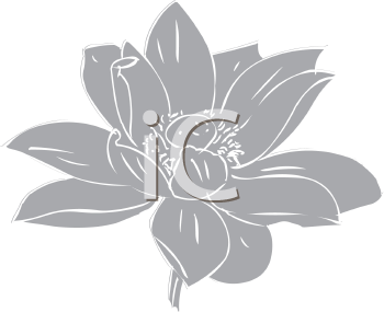 Flower Clipart