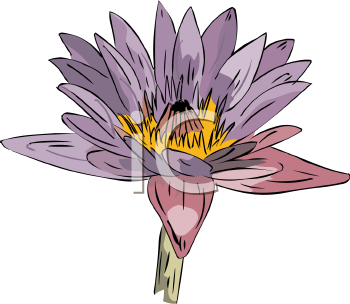 Flower Clipart