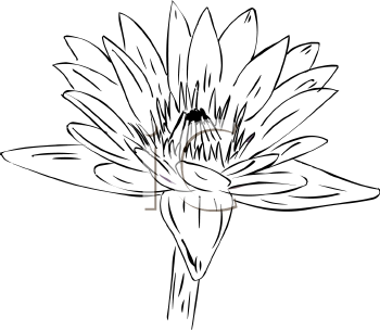 Flower Clipart