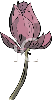 Flower Clipart