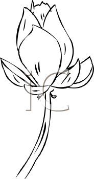 Flower Clipart