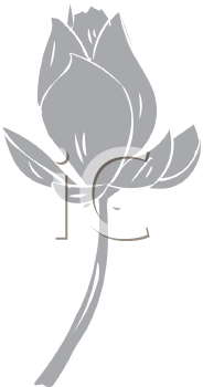 Flower Clipart