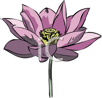 Flower Clipart