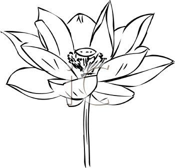 Flower Clipart