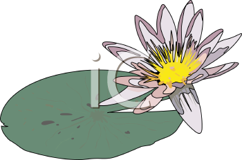 Flower Clipart