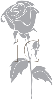 Flower Clipart