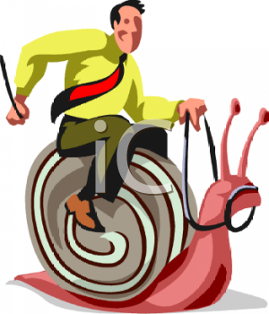 Mollusk Clipart