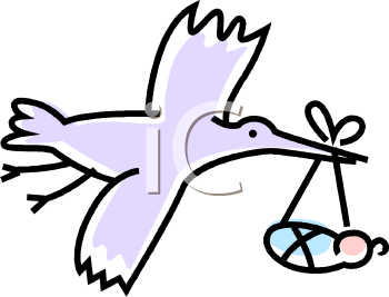 Bird Clipart