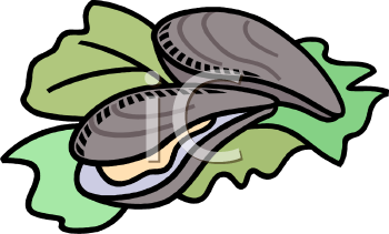 Mollusk Clipart