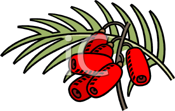 Food Clipart