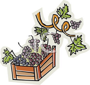 Food Clipart