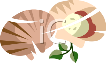 Mollusk Clipart