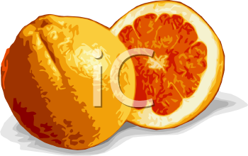 Food Clipart